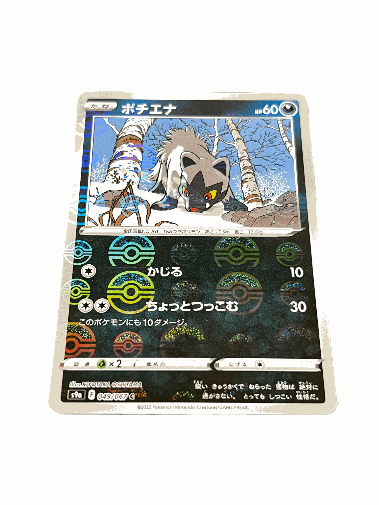 Poochyena 049/067 Reverse Mirror Holo - Japanese S9a Battle Region